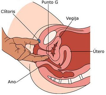 Punto G